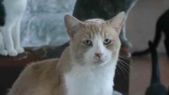 Canelito Bild von Canelito