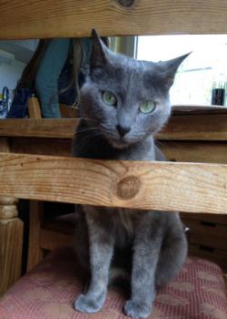 Emmi Bild von Emmi