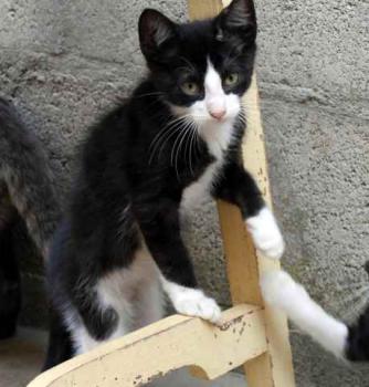 Bild von Dayo