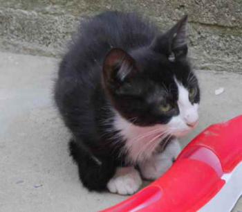 Bild von Dayo