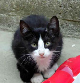 Bild von Dayo