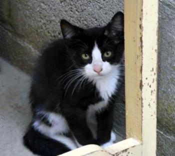 Bild von Dayo