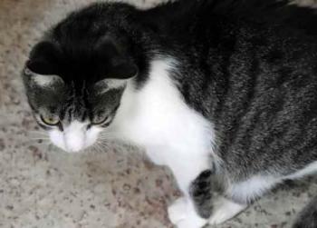 Peque Bild von Peque