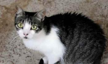 Peque Bild von Peque