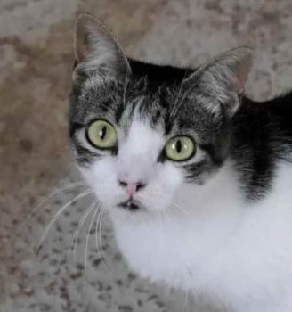 Peque Bild von Peque