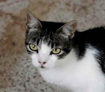 Peque Bild von Peque