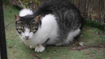 Peque Bild von Peque