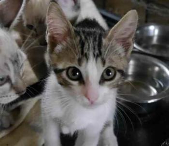 Cherie Bild von Cherie