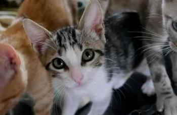 Cherie Bild von Cherie