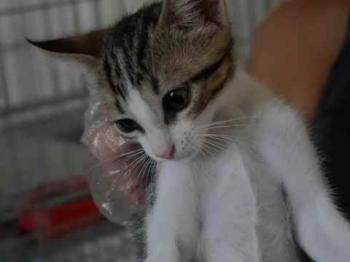 Cherie Bild von Cherie