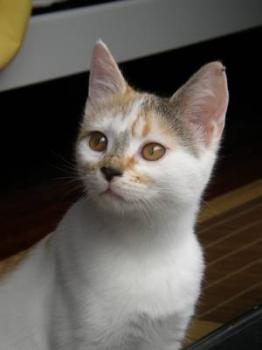 Mia Bild von Mia
