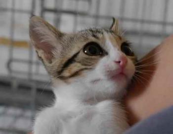 Cherie Bild von Cherie