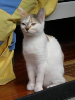 Mia Bild von Mia