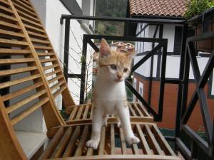 Sugar Bild von Sugar