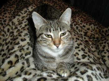 Lia Bild von Lia