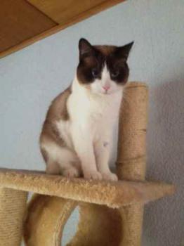 Casanova Bild von Casanova