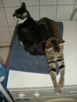 Lia Bild von Lia