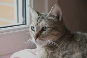 Madelein Bild von Madelein