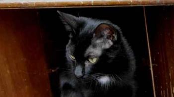Bild von Flo