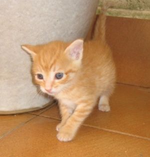 Beba Bild von Beba