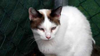 Bild von Kiki