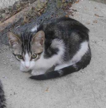 Cherie Bild von Cherie