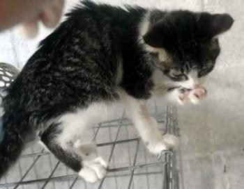 Cherie Bild von Cherie