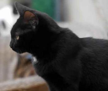 Bild von Flo