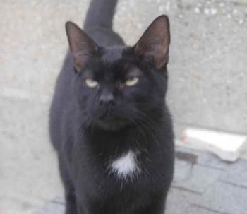 Bild von Flo