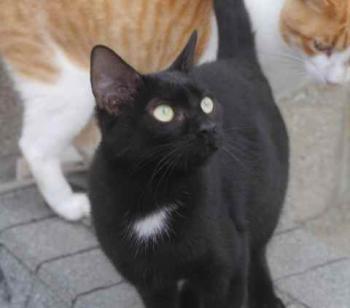 Bild von Flo