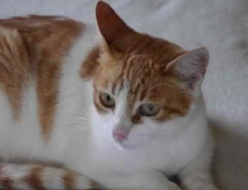 Mandy Bild von Mandy