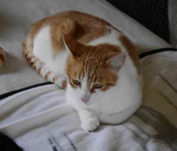 Mandy Bild von Mandy