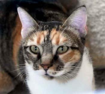 Marie Bild von Marie