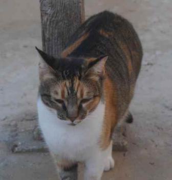 Marie Bild von Marie