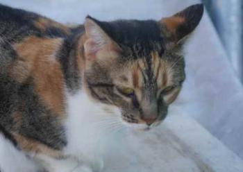 Marie Bild von Marie
