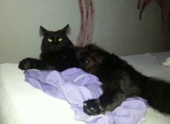Caro Bild von Caro
