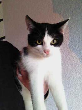 Moritz Bild von Moritz