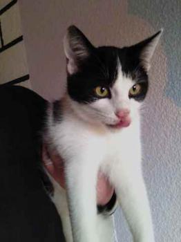 Moritz Bild von Moritz