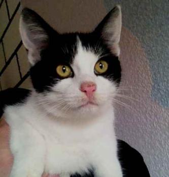 Moritz Bild von Moritz
