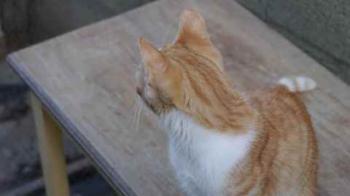 Lui Bild von Lui