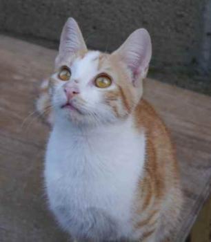 Lui Bild von Lui