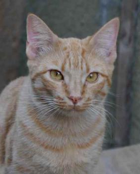 Bild von Neila