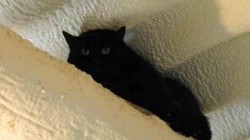Tafy Bild von Tafy