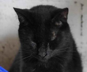 Coco Bild von Coco