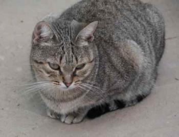 Inga Bild von Inga