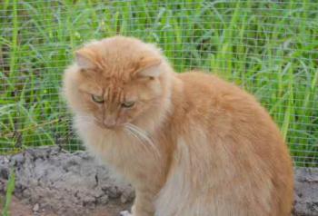 Nanuk Bild von Nanuk