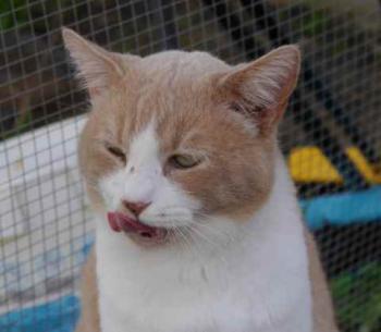 Canelito Bild von Canelito