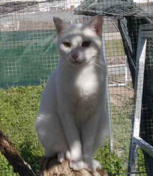 Bild von Poppy