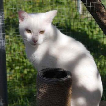 Bild von Poppy
