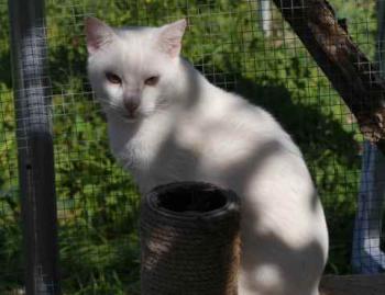 Bild von Poppy